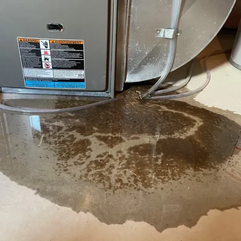 Appliance Leak Cleanup in Olney, TX